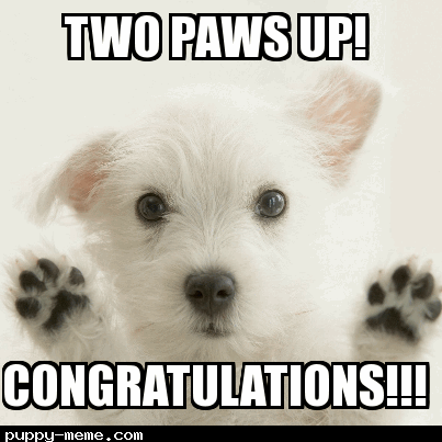 Congratulations Dog